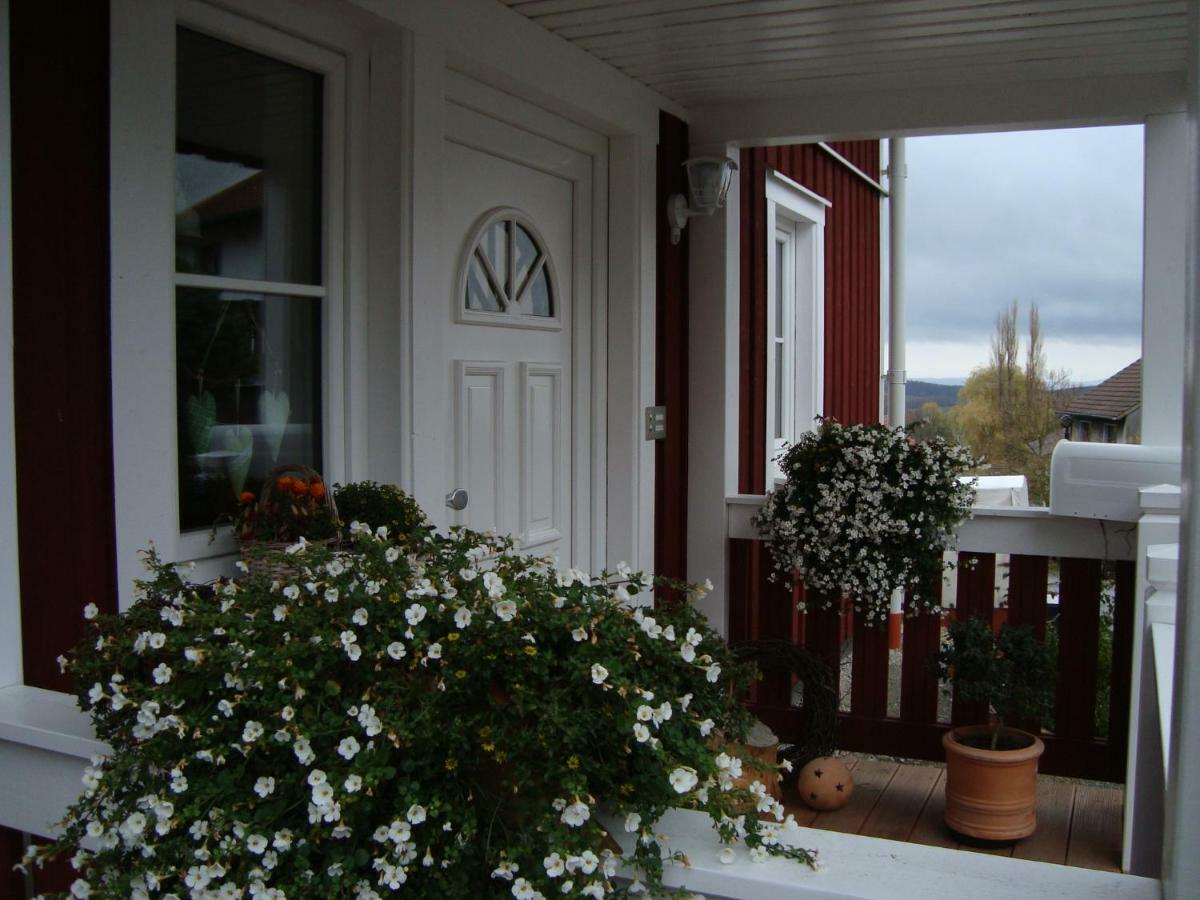 Apartamento Haus Nordlicht Horn-Bad Meinberg Exterior foto